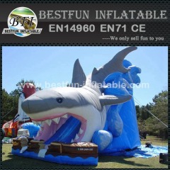 Giant inflatable shark water slide