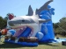 Giant inflatable shark water slide