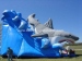 Giant inflatable shark water slide