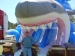 Giant inflatable shark water slide