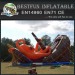 China Inflatable Kraken Dual Slide