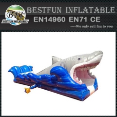 Commercial inflatable shark water slide