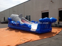 PVC commercial inflatable shark water slide