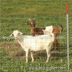 knotted wire mesh fence