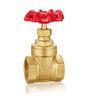 Engineering Special Brass Globe Valve Bronze Marine Gate Valve For Water / Gas And Oil