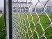chain link fence/wire mesh