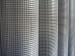 welded wire mesh fence