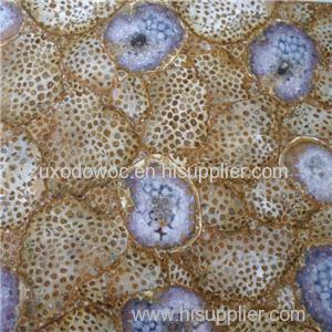 Chrysanthemum Fossil Glass Composite Translucent Stone