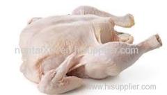 100% Frozen Whole Chicken/ feet and paws