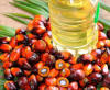 PALM COOKING OIL FOR SALE
