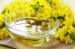 HIGHEST QUALITY CANOLA OIL