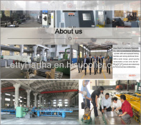 JINAN DZYHPINDUSTRY INC