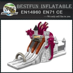 Dragon knight inflatable castle combo