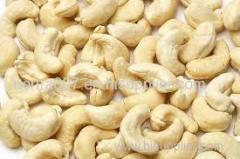 Good Quality Roasted Salted Raw Cashew Nuts Wholesale