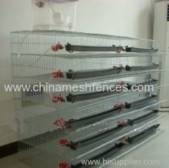 A Type 4 Tiers Quail Laying Cage Net