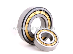 Steel / Brass Cage Cylindrical Roller Bearing