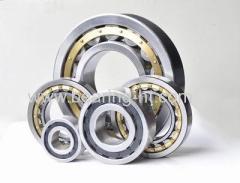 Steel / Brass Cage Cylindrical Roller Bearing