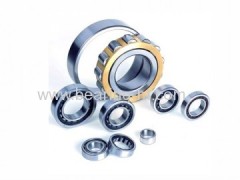 110 mm Cylindrical Roller Bearings