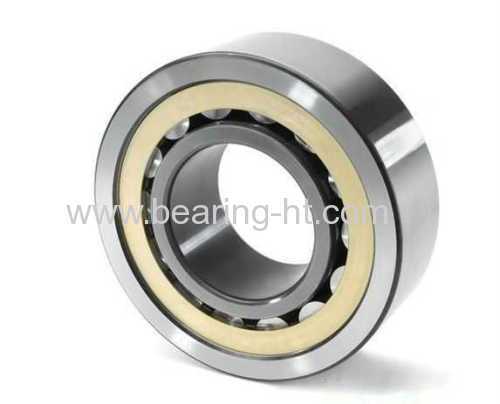 NN Models carbon steel Cylindrical Roller Bearings NN1013K