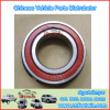 GWM Steed Wingle A3 Car Auto Bearing 6006E-RSN