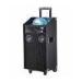 10 Inch Pro Audio Bluetooth Trolley Speaker With Bass And Microphone