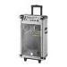 10 Inch Stage Active Bluetooth Trolley Speaker With Equalizer And Aux Input