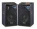 Outdoor Vhf Microphone Wireless PA Speakers With Fm Radio And Mic Input