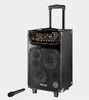 Portable Microphone Rechargeable Trolley Speaker For Outdoor Party And Dancing