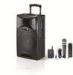 Single 12 Inch Rechargeable Portable Trolley Speaker / Bluetooth Powered Pa Speakers