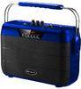 Battery Powered Plastic Speaker Box With Wireless Microphone And Fm Radio