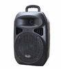 8 Inch Handheld Plastic Speaker Box / Wireless Microphone Speaker System