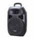 8 Inch Handheld Plastic Speaker Box / Wireless Microphone Speaker System