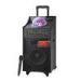 40 Watt Black Battery PA Speaker Bluetooth Disco Light Speaker For Outdoor Party