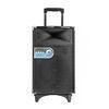 Compact PA Lightweight Portable Trolley Speaker / Battery Powered Stereo Speakers
