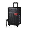 Black Wireless Microphone Bluetooth Trolley Speaker System For Outdoor Party