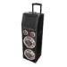 Double 10 Inch Subwoofer Portable Speaker PA System Battery Powered Speakers