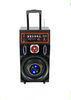60 Watt Bluetooth Portable Active PA Speaker With Led Light And Aux Input