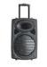 10 Inch 80W Plastic Portable Trolley Speakers / Bluetooth Powered PA Speakers