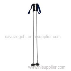 Aluminum Alpine Ski Poles