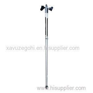 Fiberglass Roller Ski Poles