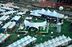 Beautiful Tent for sale