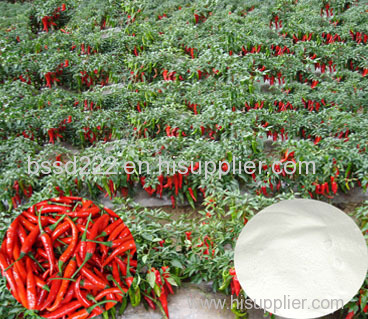 Natural CapsaicinNatural CapsaicinNatural Capsaicin