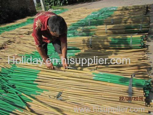 Natural Bamboo Poles Canes Use Them For Fencing Tiki Huts Decks And Railings Or More