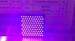 Full Spectrum LED Grow Lights 12W E27 Flower Hydroponics System
