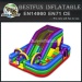 Wacky Colorful Inflatable Bouncer with Slide Combo