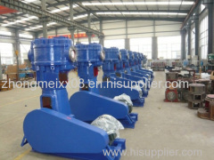 WLW Vertical Oilless Vacuum Pump