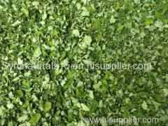 Moringa Leaves Exporters India