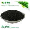 VIPS SeaFull- the high level Biostimulator fertilizer from ascophllum nodosum