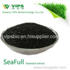 VIPS SeaFull - Fertilizer from Ascophllum nodosum