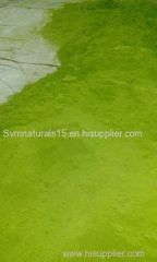 Moringa Leaf Powder Exporters India